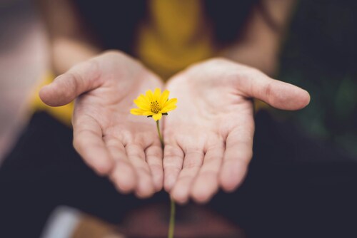 lina-trochez-ktPKyUs3Qjs-unsplash-1