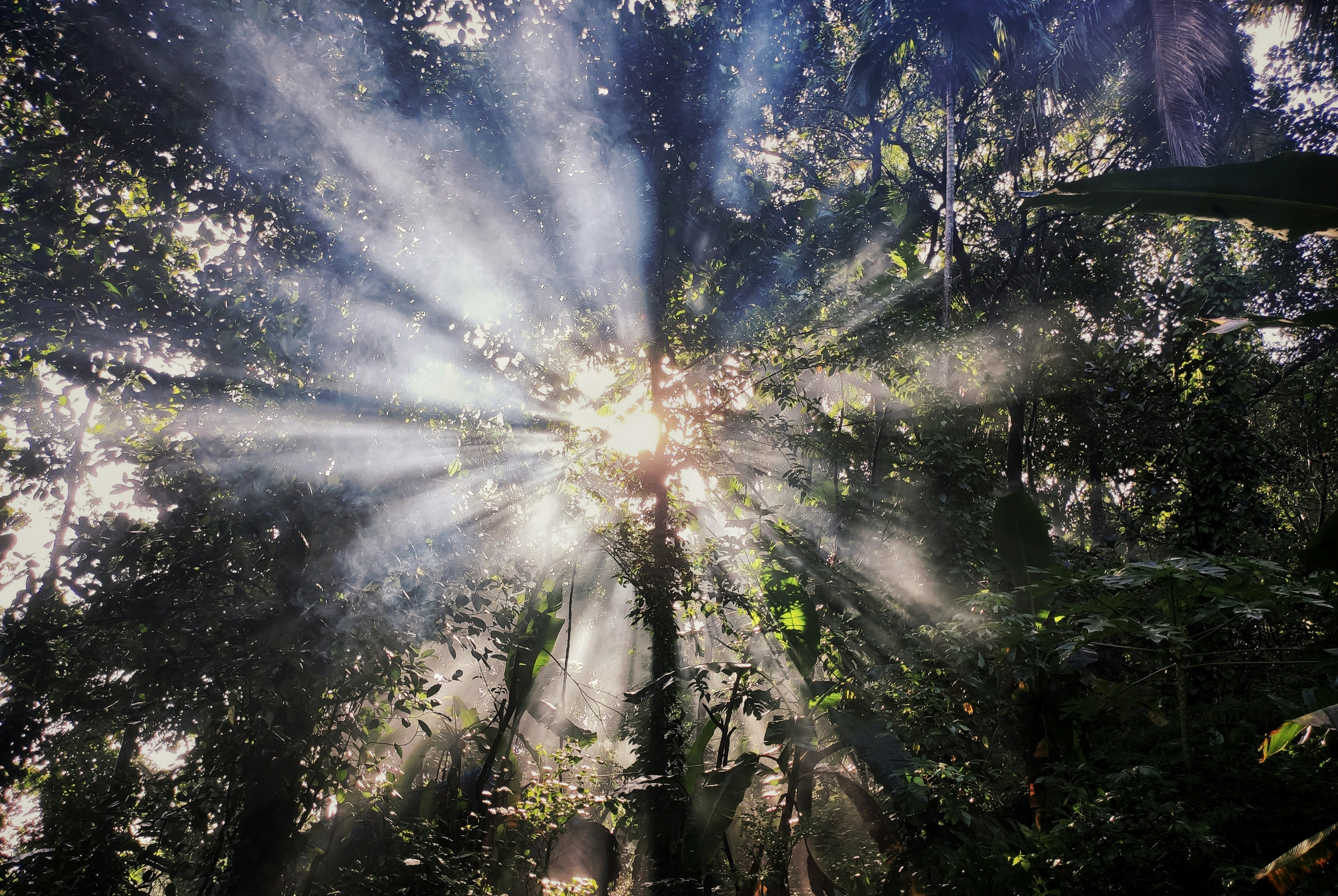 omkar-jadhav-s5xNLPMxHZU-unsplash